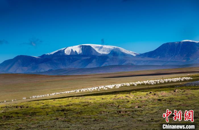 柴达木盆地青海天峻：生物多样性保护成效明显