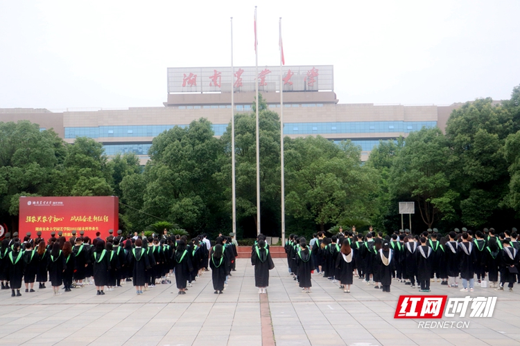湖南农大241名园艺学子举行升旗仪式 为毕业画上圆满句号