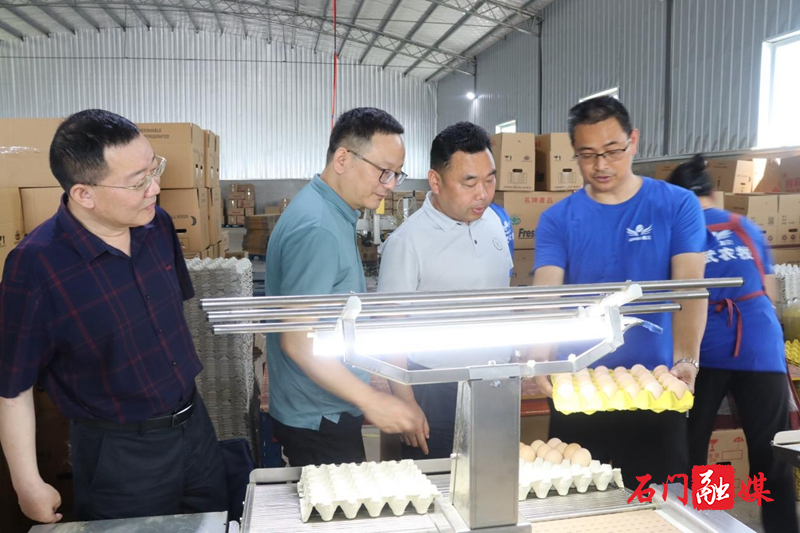县领导调研走访委员工作室和委员企业2.jpg 县领导调研走访委员工作室和委员企业2.jpg