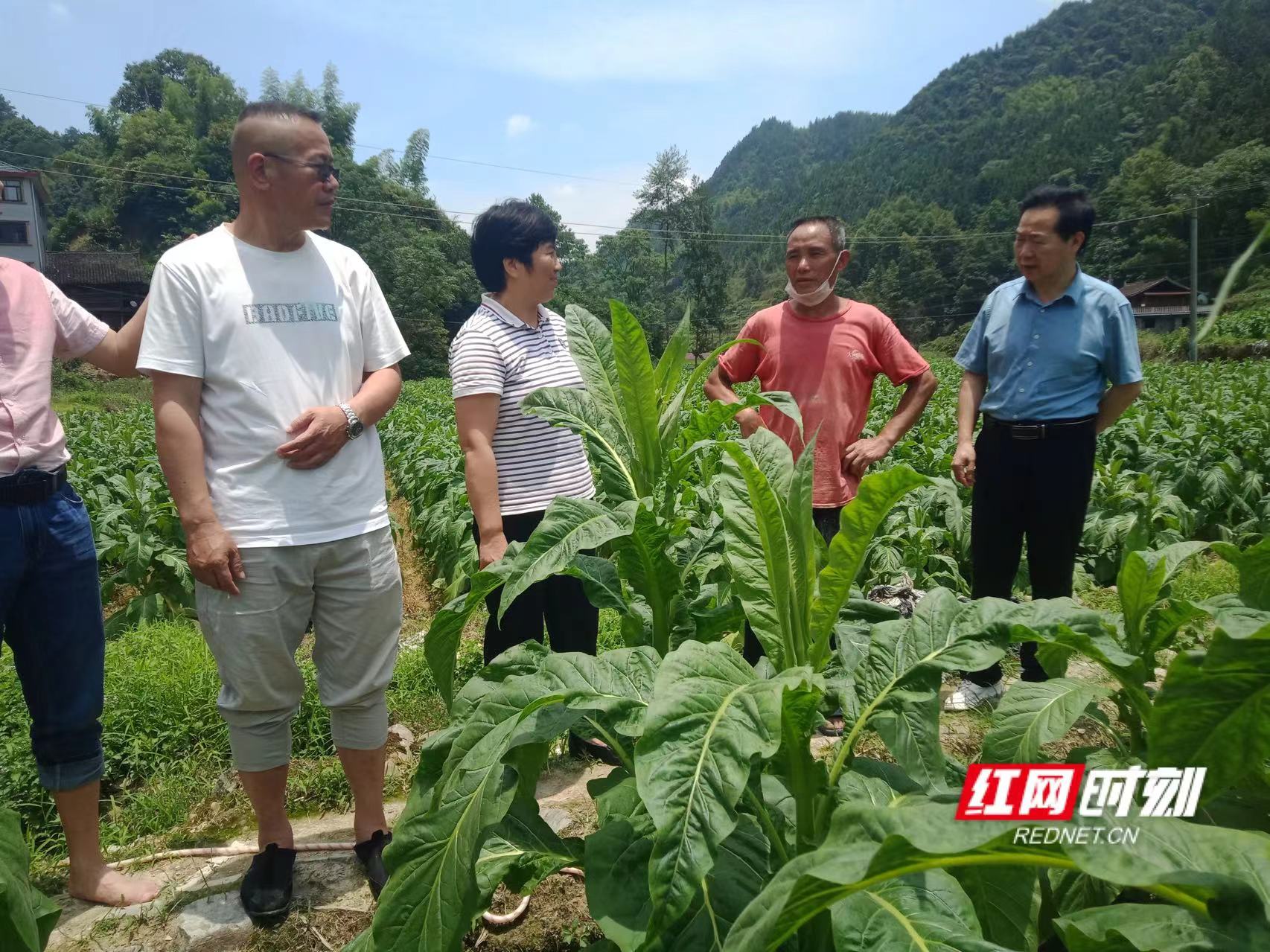 微信图片_20220610090204.jpg 微信图片_20220610090204.jpg