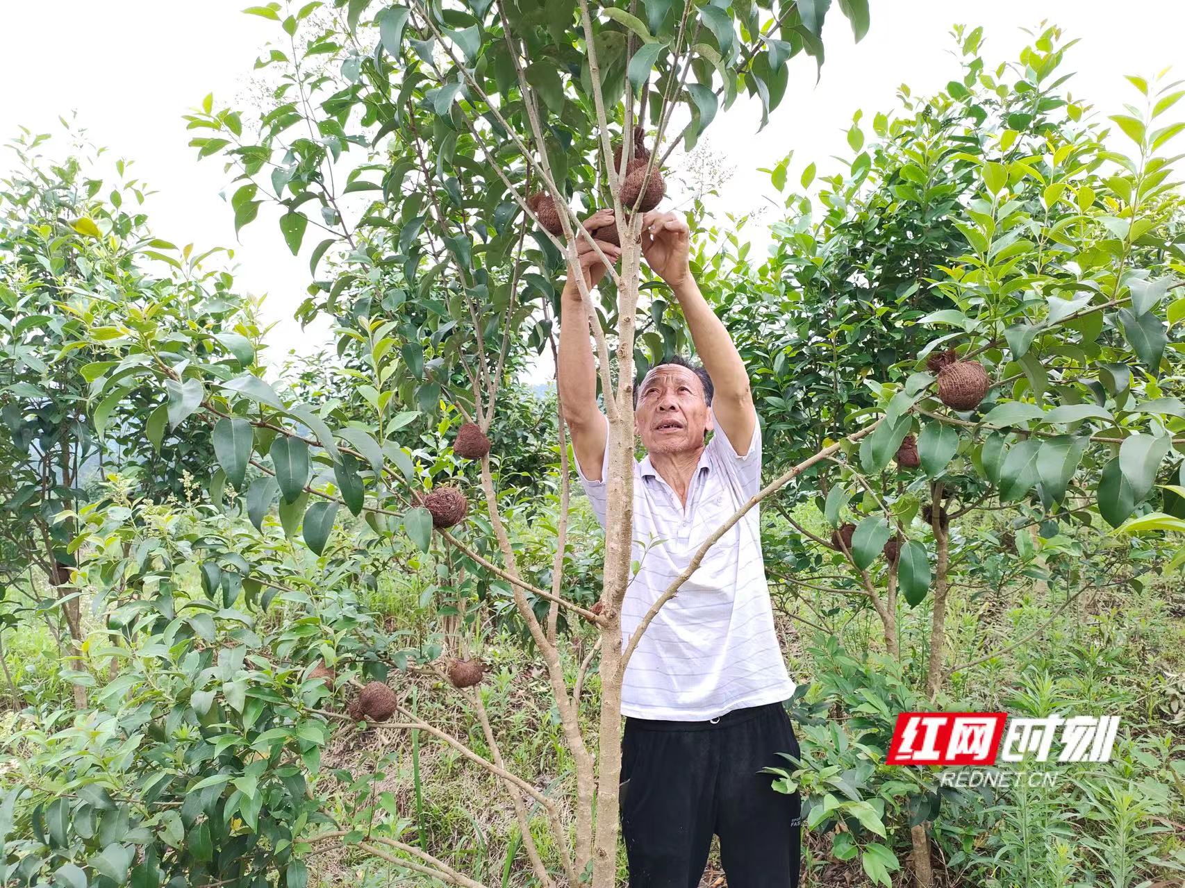 微信图片_20220610090208.jpg 微信图片_20220610090208.jpg