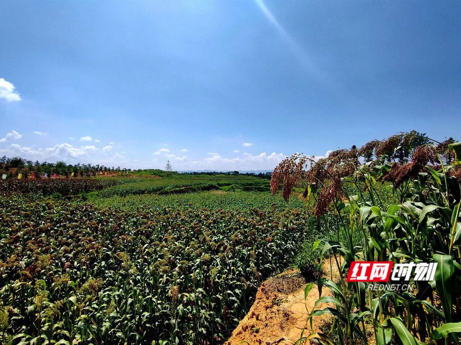 微信图片_20220610090156.jpg 微信图片_20220610090156.jpg