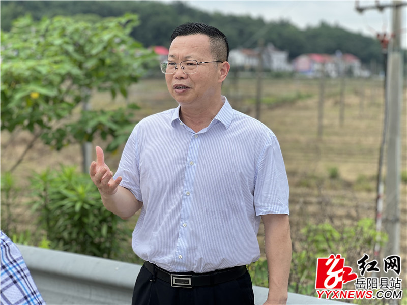 在新开镇许广高速岳阳南收费站违建墓地整治现场，详细了解整治情况 (1).jpg