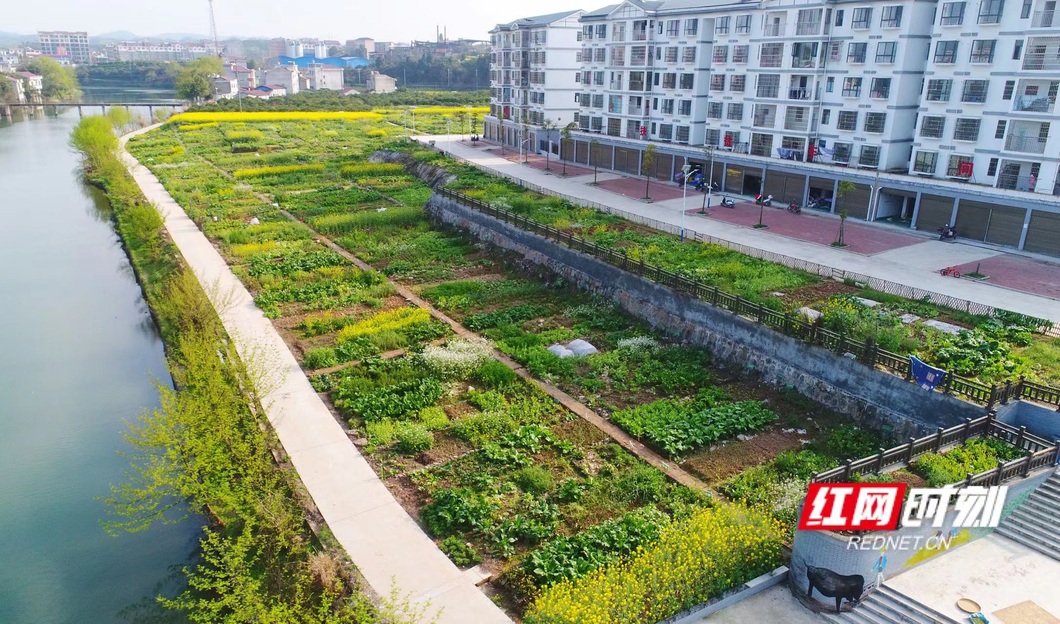 微信图片_20220610090214.jpg 微信图片_20220610090214.jpg