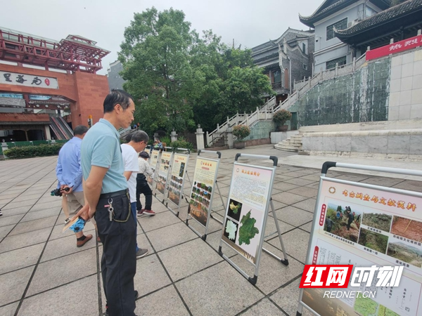 图片19.jpg