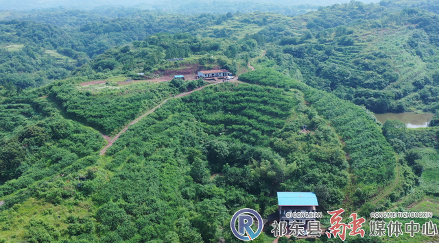 w_微信图片_20220613110424 (2).jpg.png