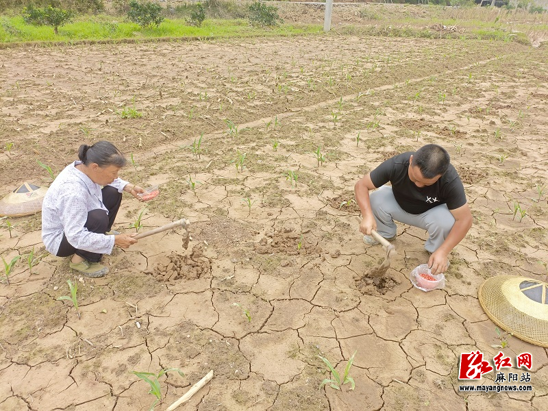 微信图片_20220613095512.jpg