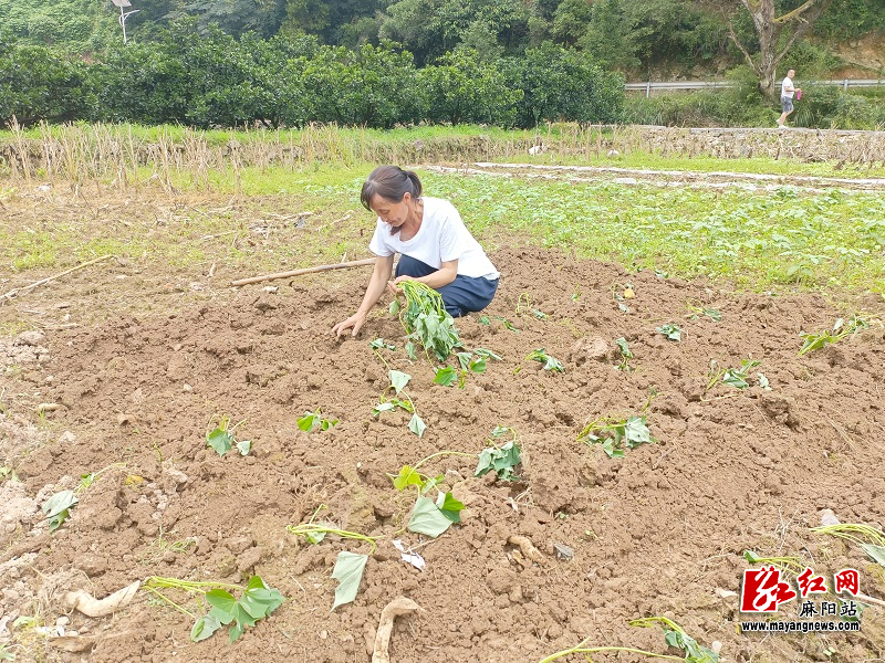 微信图片_20220613095509.jpg