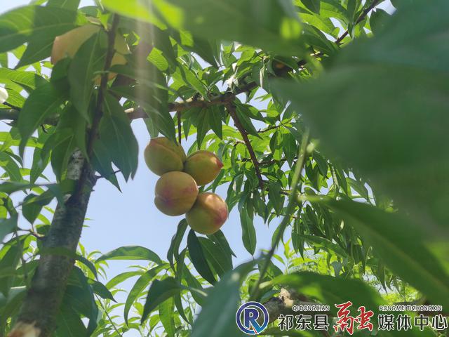 w_微信图片_20220613110114.jpg