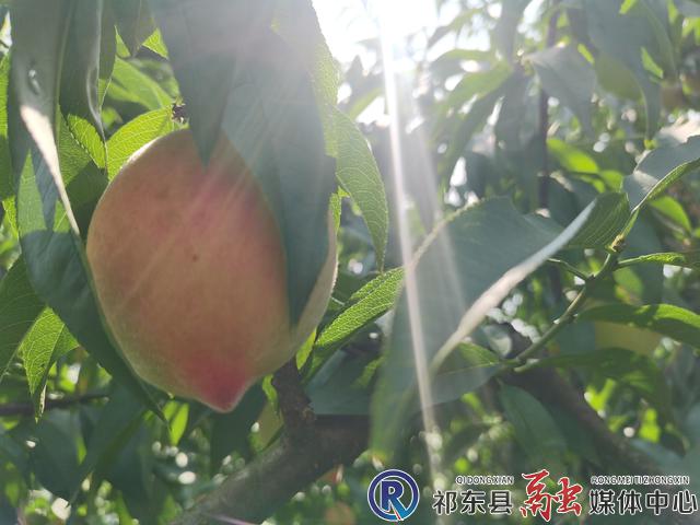 w_微信图片_20220613110129.jpg