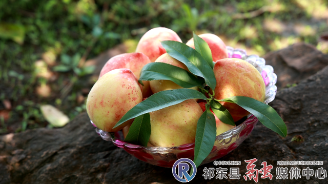 w_微信图片_20220613110424 (1).jpg.png