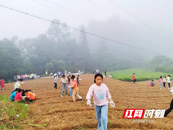 ffbb2857d72eb1fa16d9a8cb5f7f836_副本.jpg