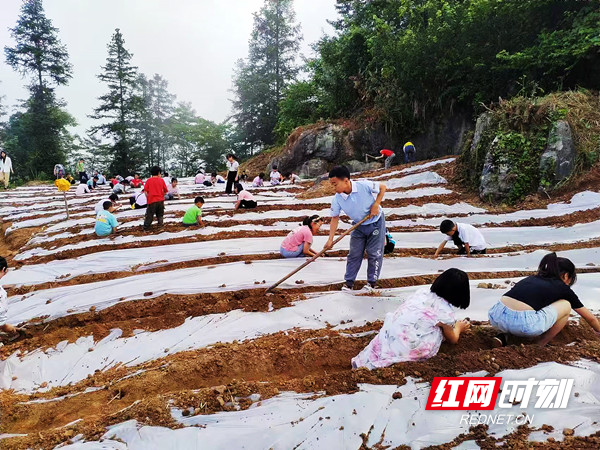 ab9cb54444f3a6f666753a8d23a1c5e_副本.jpg