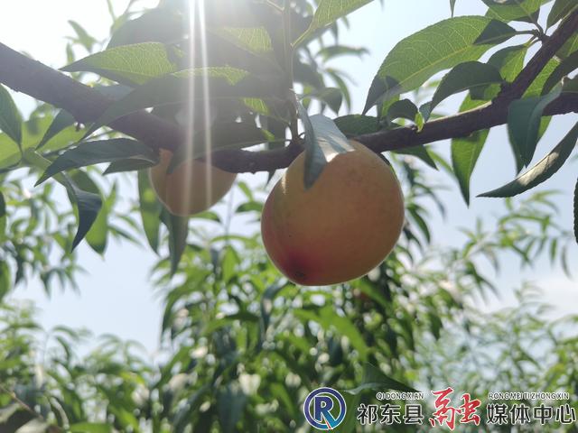 w_微信图片_20220613110122.jpg