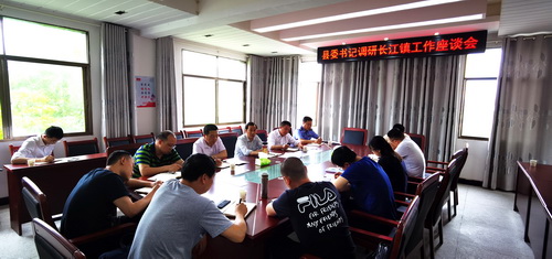 调研长江镇.jpg 调研长江镇.jpg