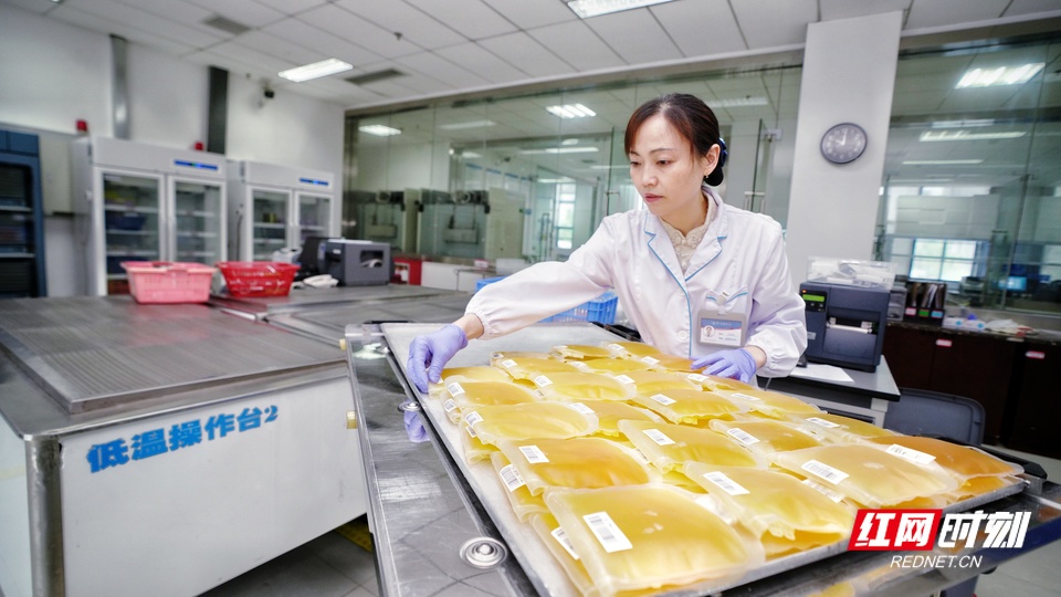 一袋血的历程。献血,检测_6.jpeg 一袋血的历程。献血,检测_6.jpeg