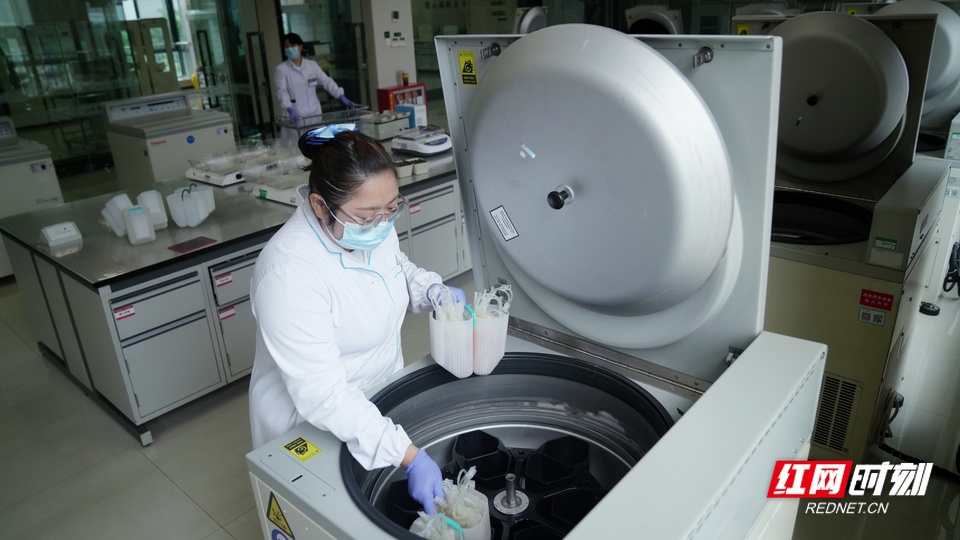 一袋血的历程。献血,检测_12.jpeg 一袋血的历程。献血,检测_12.jpeg