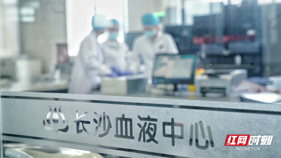 一袋血的历程。献血,检测_20.jpeg 一袋血的历程。献血,检测_20.jpeg