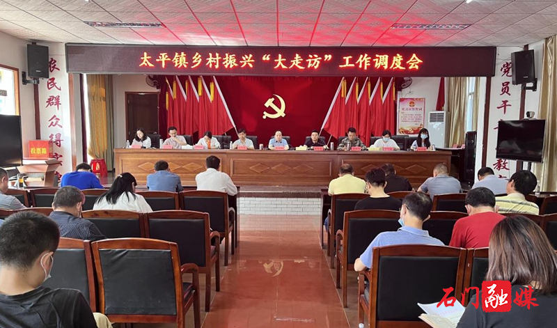 太平镇：开展巩固脱贫成果“大走访”活动1.jpg