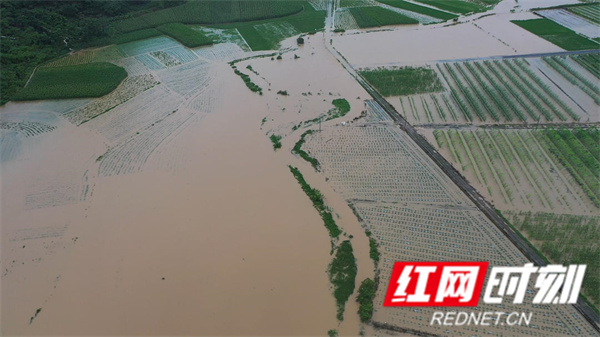 江永县遭遇强降雨 3000余亩农田被淹