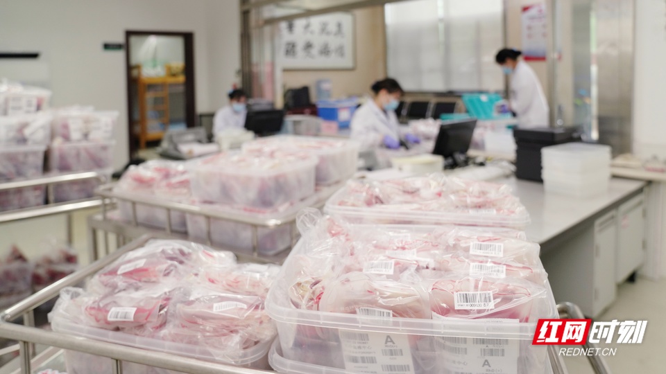 一袋血的历程。献血,检测_3.jpeg 一袋血的历程。献血,检测_3.jpeg