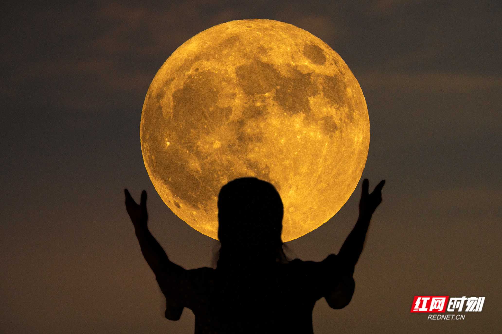 组图｜“超级月亮”现身  长沙市民近身将其“环抱”