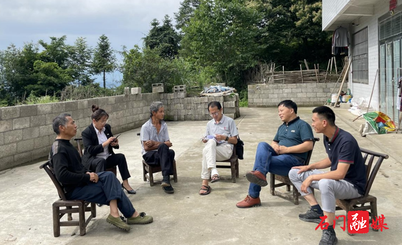 磨市镇：人大代表遍访监测户 共谋振兴致富之路1.jpg