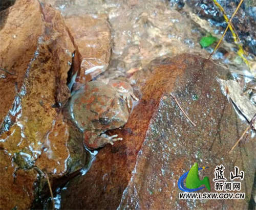 ed59974eb9e2dfbaa7eedc24febc0f25.jpg ed59974eb9e2dfbaa7eedc24febc0f25.jpg