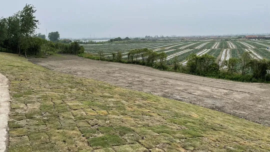 微信图片_20220615093124.png