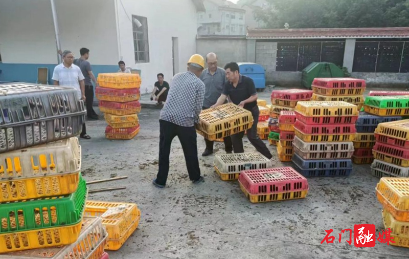 太平镇：产业振兴送鸡苗 巩固成果暖人心2.jpg