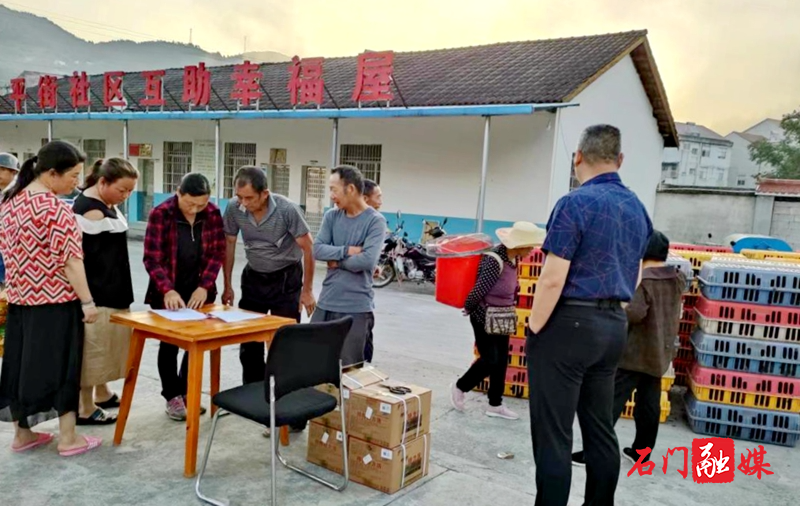 太平镇：产业振兴送鸡苗 巩固成果暖人心1.jpg