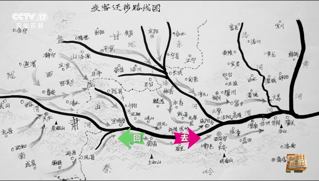 “麦客”迁徙路线 绘制：石宝绣