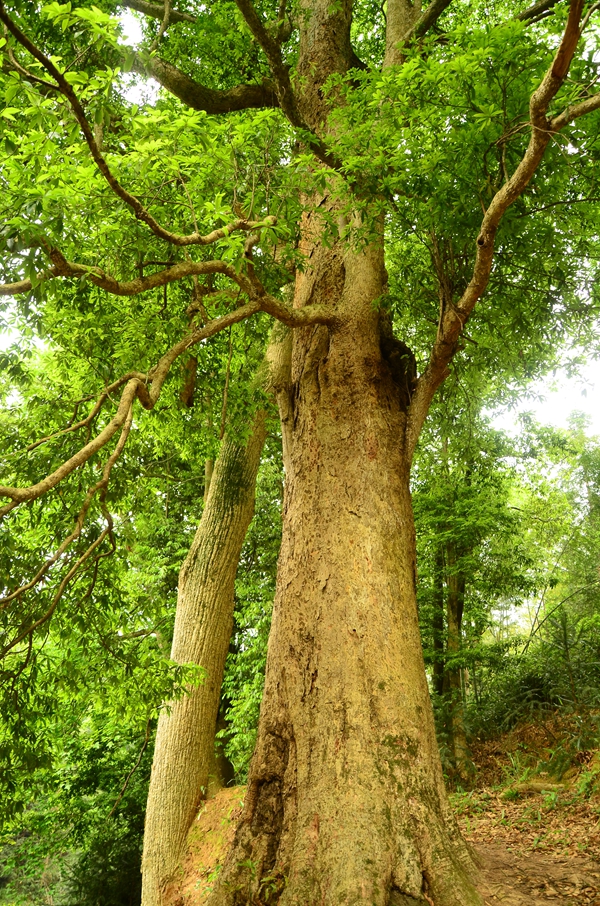 生物多样性20.jpg