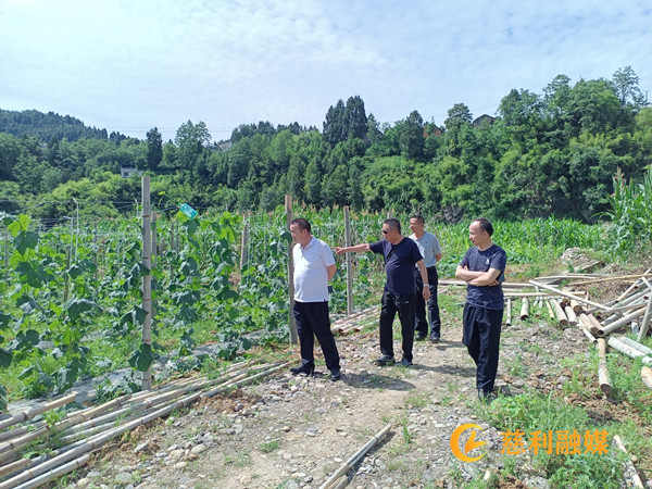 微信图片_20220617134715_副本.jpg