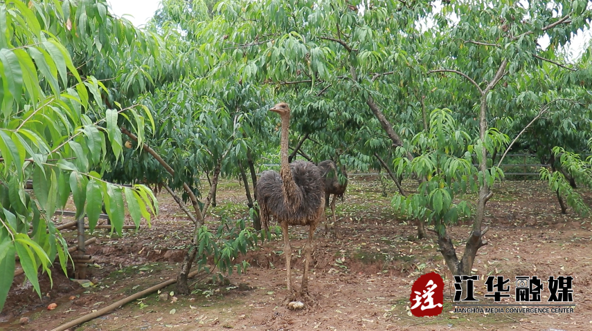 微信截图_20220617094648.png