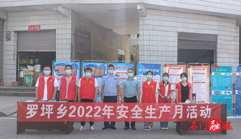 罗坪乡：打造“N”合一宣传咨询一条街 2.jpg