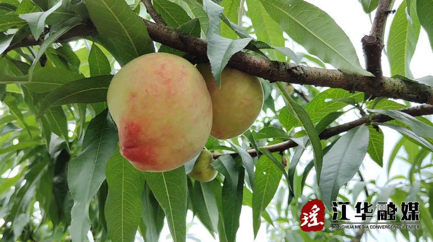 微信截图_20220617094531.png