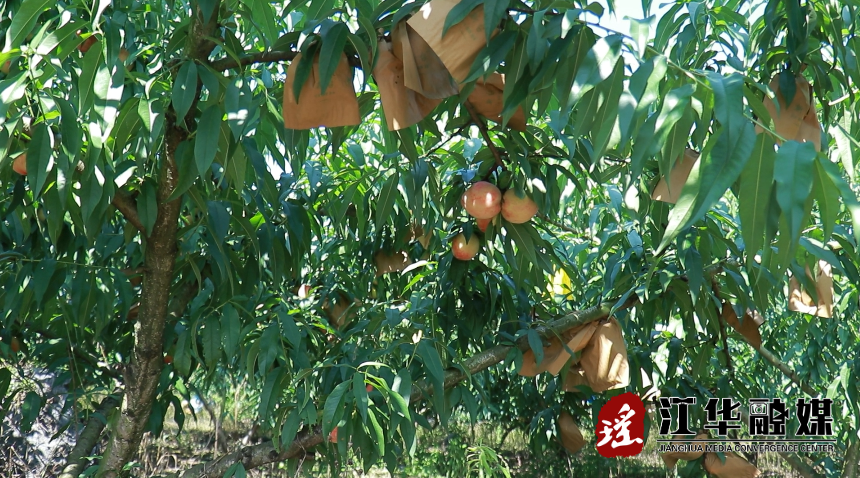 微信截图_20220617094710.png