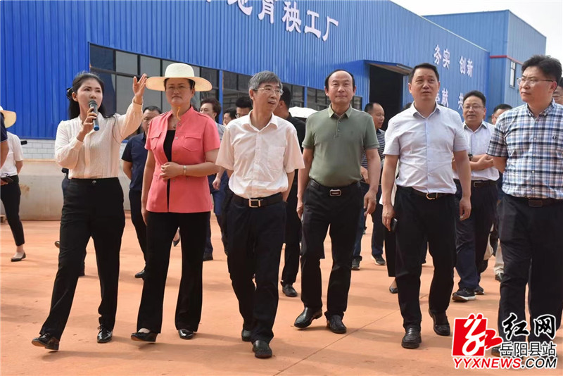 考察组一行实地考察润升水稻专业合作社水稻种植情况1.jpg