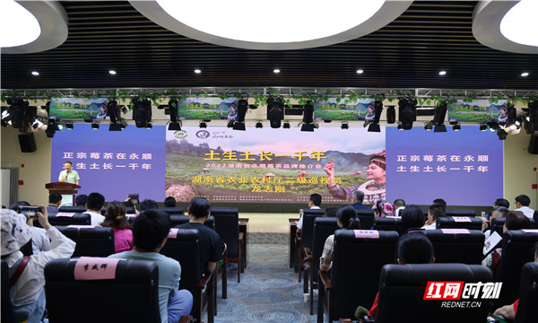 现场签约超8000万元，2022湖南省永顺莓茶品牌推介活动在长沙举行