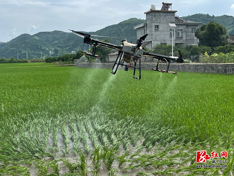 微信图片_202206191407531.jpg 微信图片_202206191407531.jpg