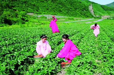 东北边陲:旅游兴市 产业富民 东北边陲:旅游兴市 产业富民