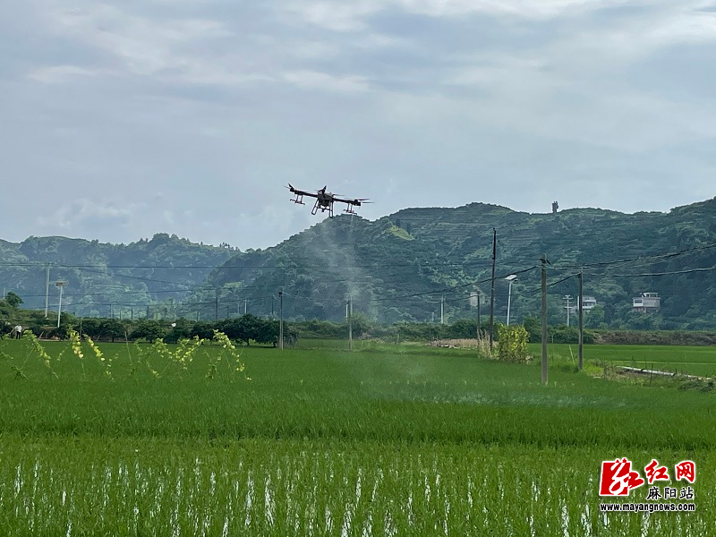 微信图片_20220619140753.jpg 微信图片_20220619140753.jpg