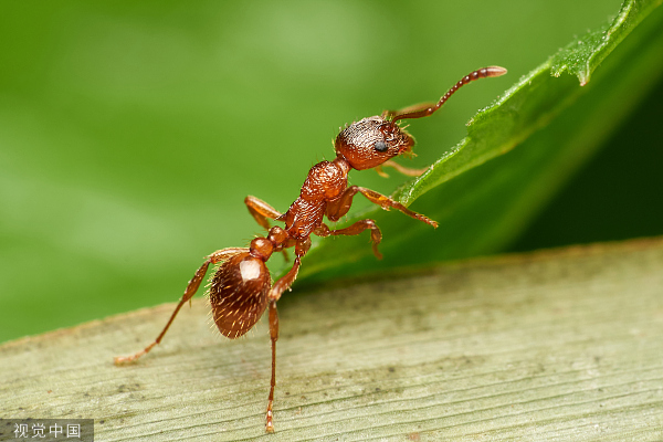 VCG211311980773.jpg VCG211311980773.jpg