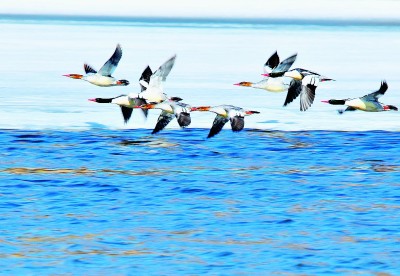 东北边陲:旅游兴市 产业富民 东北边陲:旅游兴市 产业富民