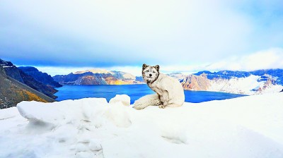东北边陲:旅游兴市 产业富民 东北边陲:旅游兴市 产业富民