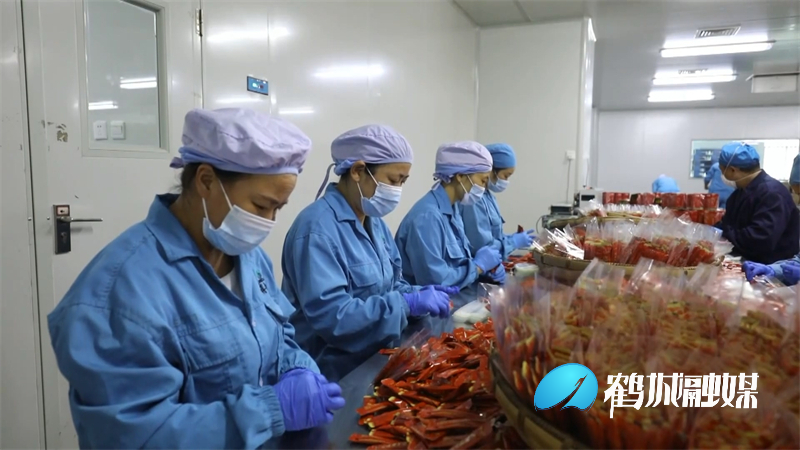 鹤城区产业开发区：积极牵线搭桥 助推企业发展.mp4_20220623_155922.233.jpg