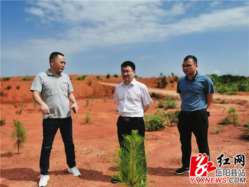 周峰在梁家铺造林基地巡林.jpg