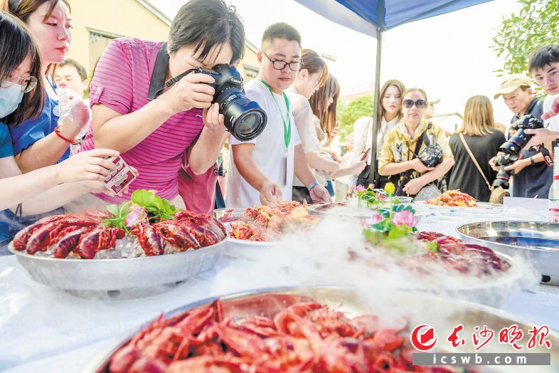 　　荷花池中娇颜绽放，虾蟹鱼色香味俱全，乔口当地通过挖掘历史文化资源和湖湘水乡特色，深度整合文旅农旅资源，加速形成“十里荷廊、百里水产、千年古镇、万亩虾田”的全域旅游格局。  长沙晚报全媒体记者 陈飞 摄