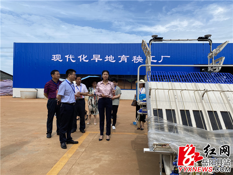 在筻口镇润升水稻专业合作社实地察看.jpg